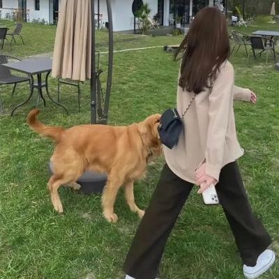 爸爸快长大